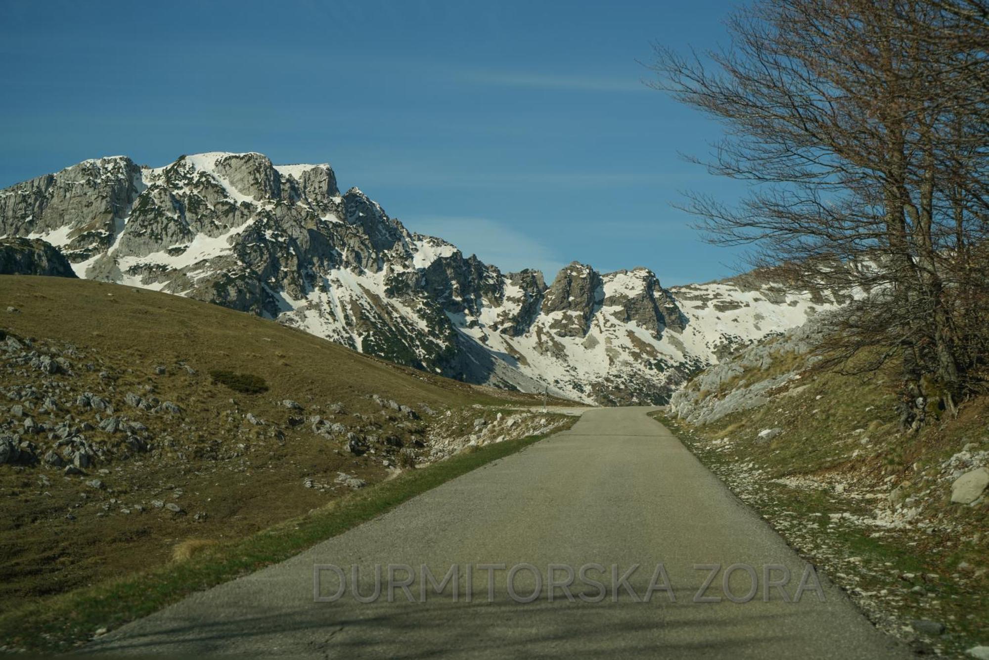 Durmitorska Zora Žabljak Exterior foto
