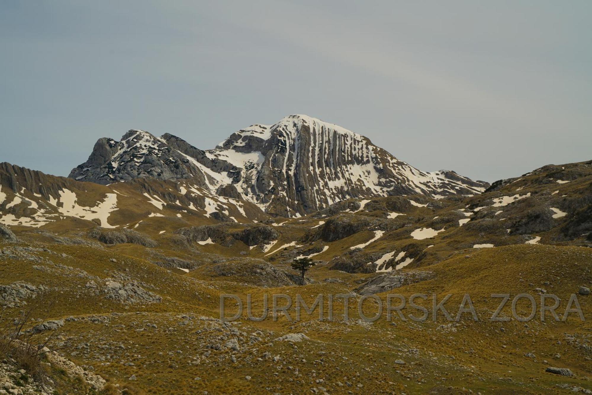 Durmitorska Zora Žabljak Exterior foto